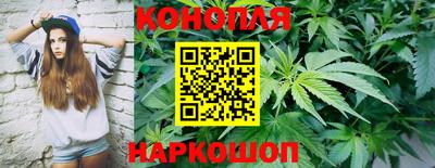 a pvp Славянск-на-Кубани