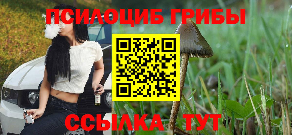 Псилоцибиновые грибы мицелий Оренбург